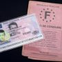 Duplicata du permis de conduire